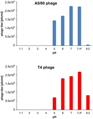 Means to Facilitate the Overcoming of Gastric Juice Barrier by a Therapeutic Staphylococcal Bacteriophage A5/80